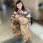 Pet Sitter Lindsey sitting down with two Yorkie dogs