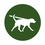 dog walking - dog walker icon