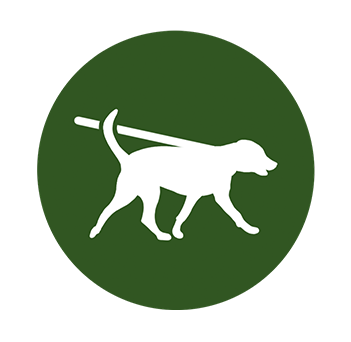 dog walking - dog walker icon