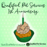 One Year of Exceptional Pet Care-QPS