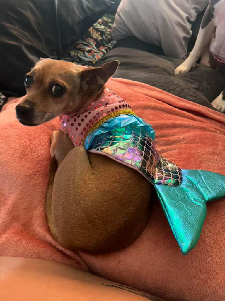 Kahlua the Mermaid