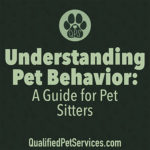 Understanding Pet Behavior: A Guide for Pet Sitters