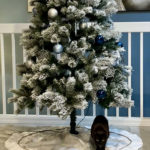 Christmas Plants Toxic to Cats