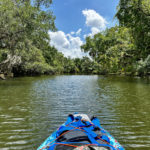 Dog-Friendly Paddle Boarding in SWFL