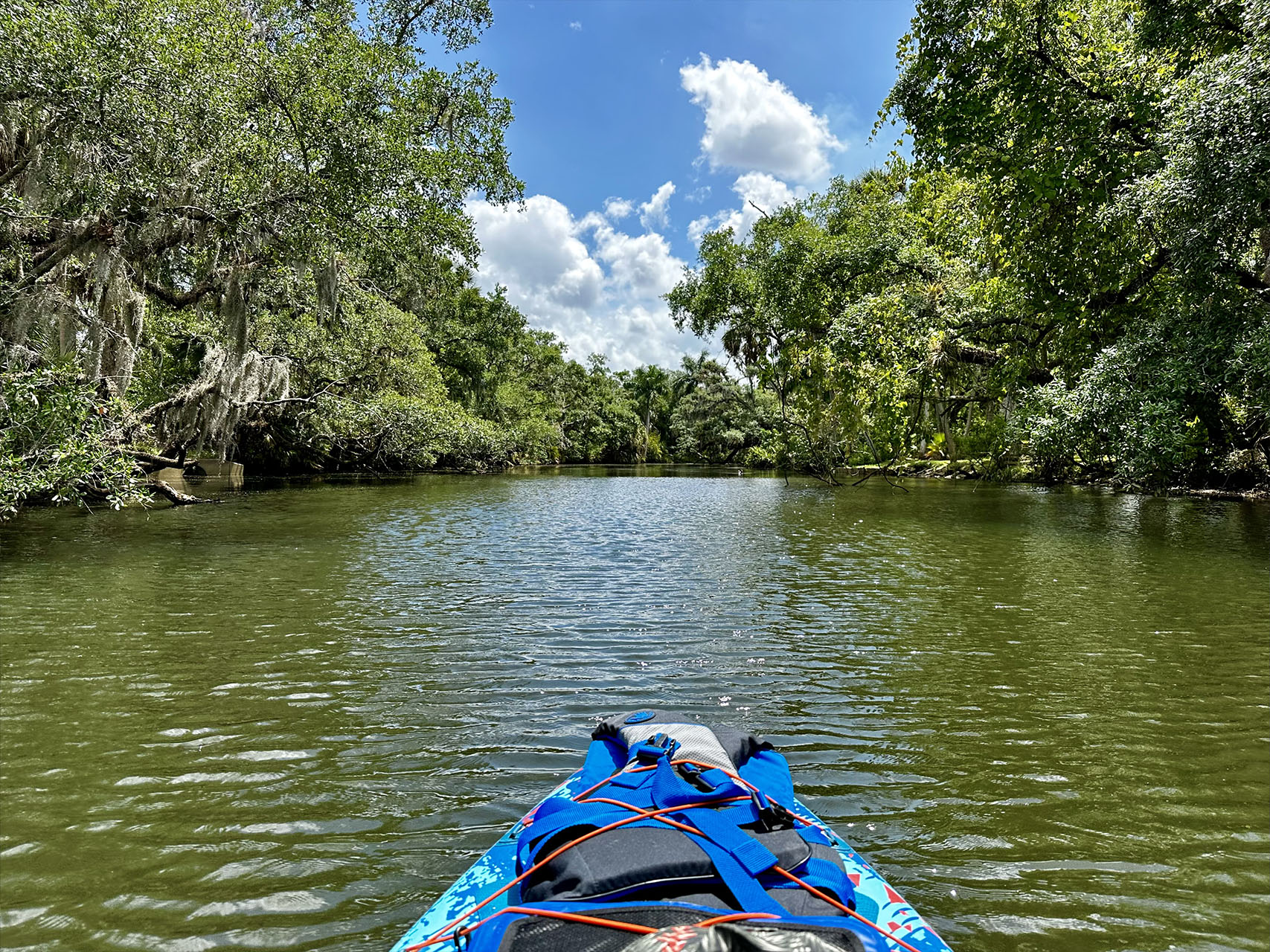 Dog-Friendly Paddle Boarding in SWFL