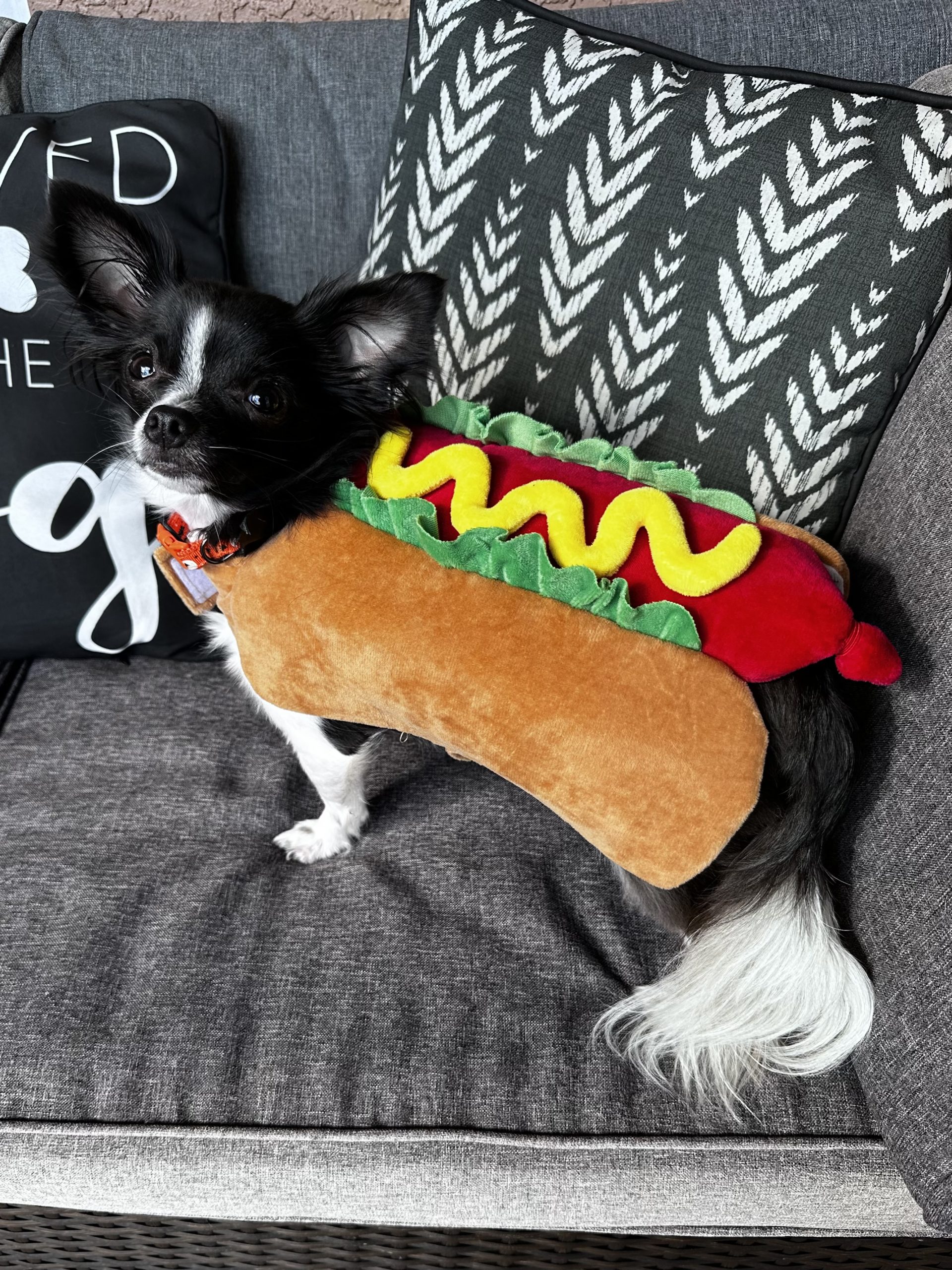 Costume 1: Aurelia the Hotdog
