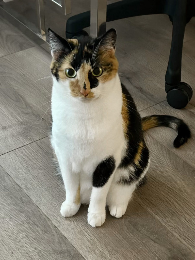 Missy