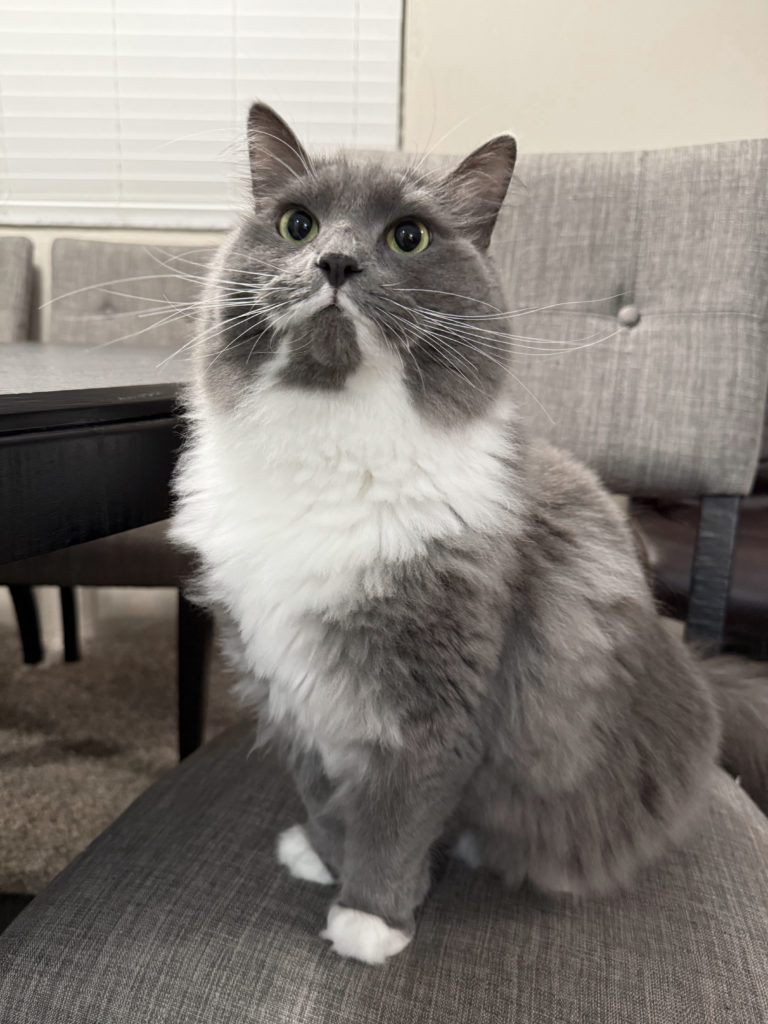 Romeo