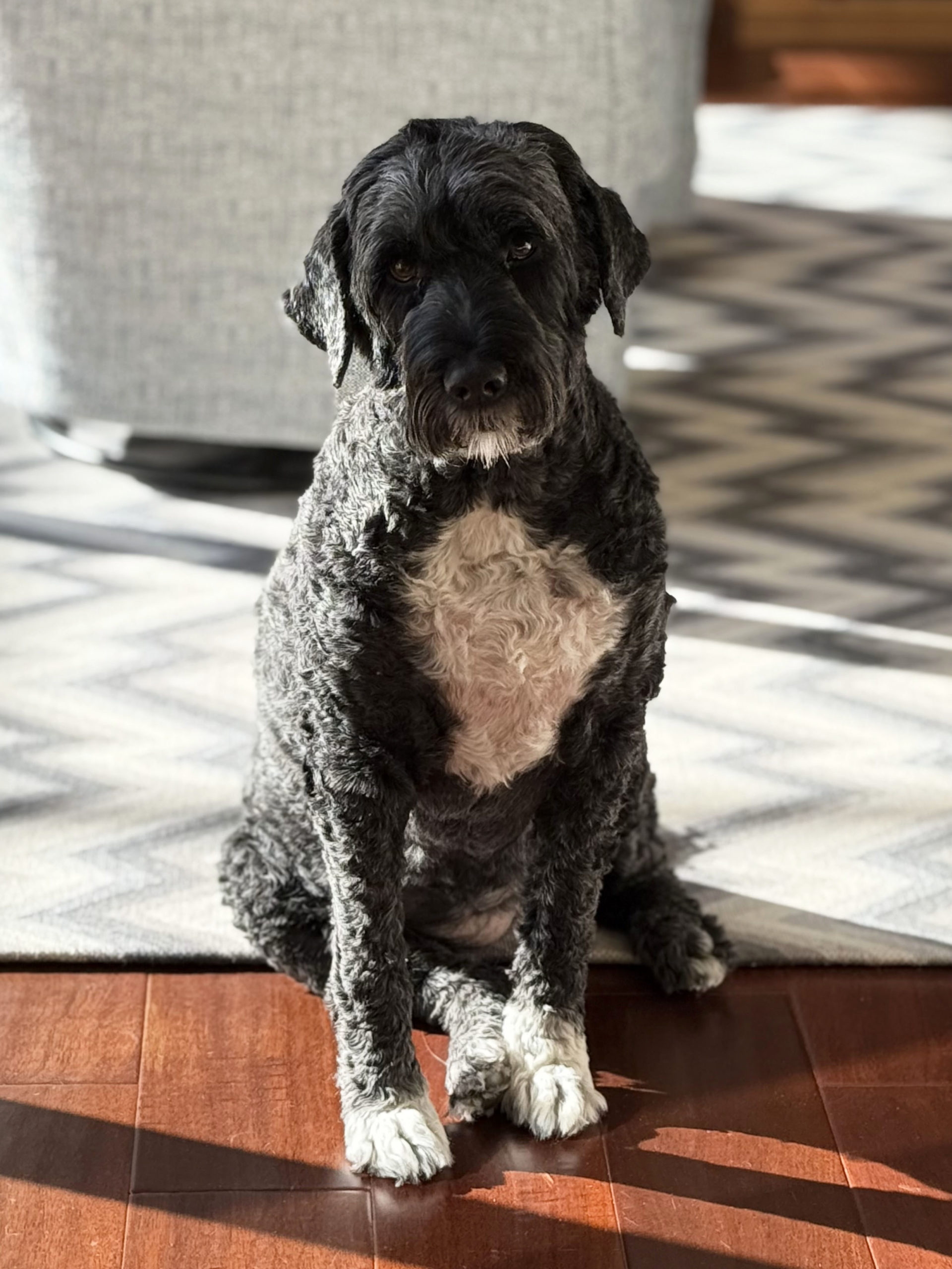 Georgia
