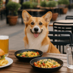 Dog Friendly Restaurants Florida