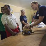 Annual Pet Wellness Exam: What to Expect