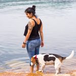 Anxiety in Multi-Pet Homes: Managing Group Stress