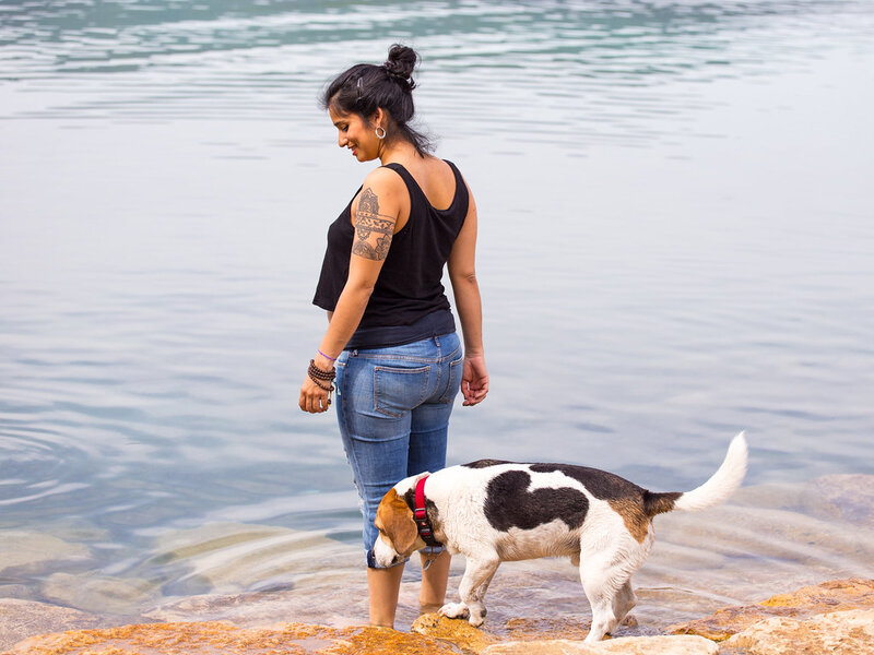 Anxiety in Multi-Pet Homes: Managing Group Stress