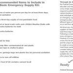 Broken Bones in Pets: First Aid Before the Vet