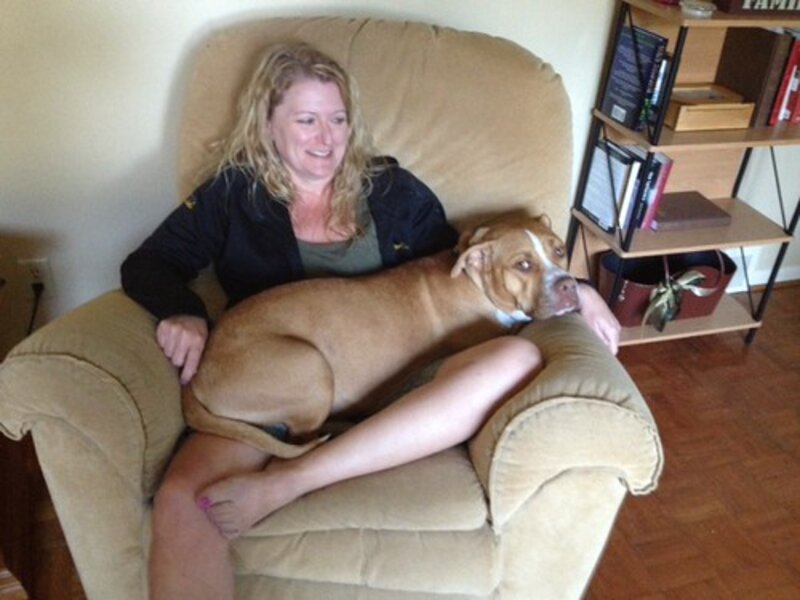 Cancer in Senior Pets: Early Detection and Care