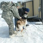 Dog Vaccination Guide: Core and Non-Core Vaccines
