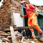 Drowning and Near-Drowning in Pets: Emergency Response