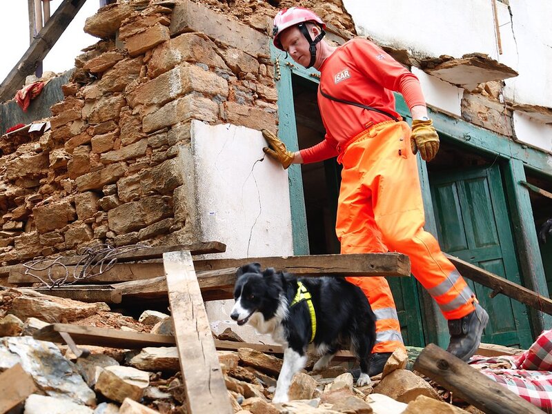 Drowning and Near-Drowning in Pets: Emergency Response