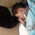 Exotic Pet Health: Finding the Right Vet