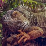 First-Time Pet Sitting Client? Here Is What You Need to Know