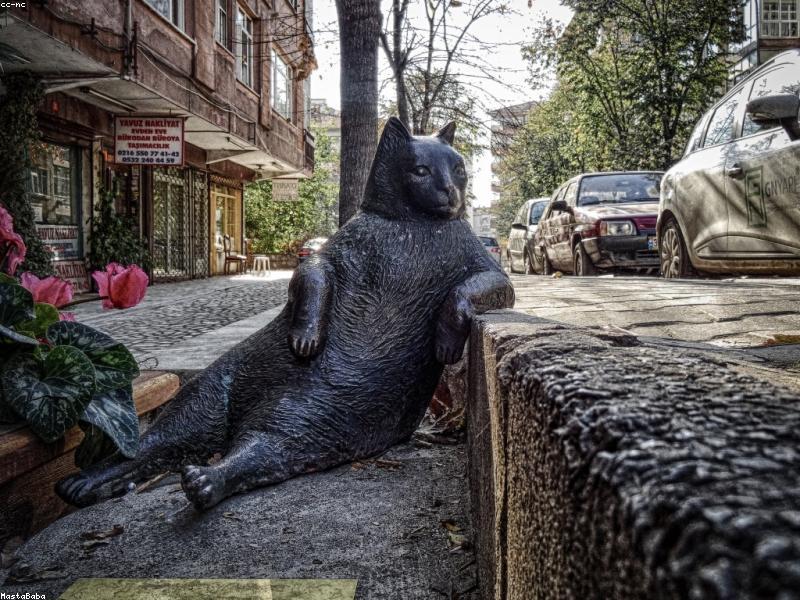 First-Time Pet Sitting Client? Here Is What You Need to Know