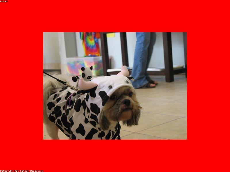 Flea and Tick Safety: Protecting Your Pet Year-Round