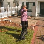 Flying with Your Pet: Airline Rules and Tips