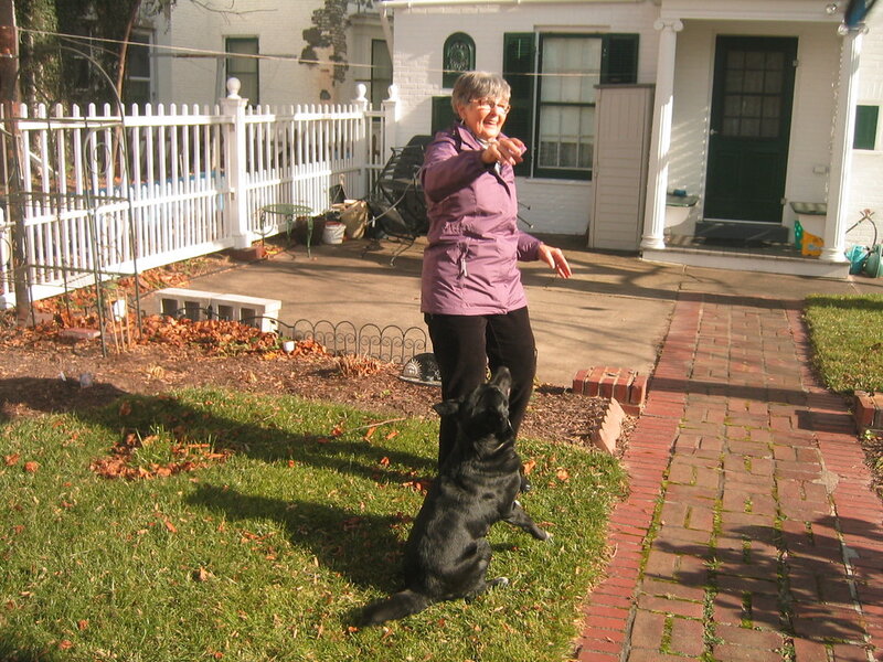 Flying with Your Pet: Airline Rules and Tips Flying with Your Pet: Airline Rules and Tips