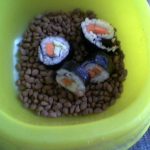 Grain-Free Dog Food: Facts vs Fiction