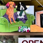 Grooming Double-Coated Breeds: Do Not Shave Them