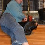 Heart Disease in Aging Dogs: What to Know