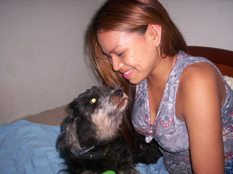 Hip Dysplasia in Dogs: Prevention and Management