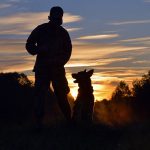 House Training an Adult Dog: Yes It Is Possible