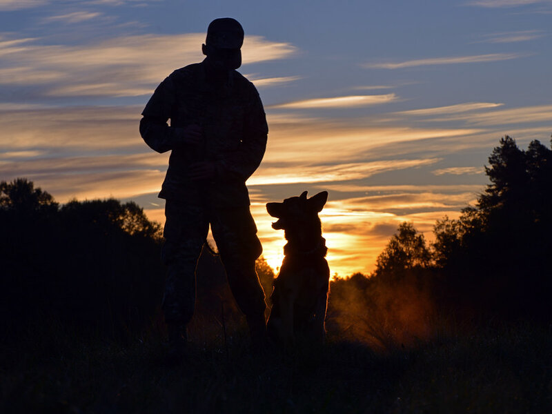 House Training an Adult Dog: Yes It Is Possible