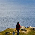 How Regular Exercise Improves Pet Wellness