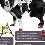 How to Create an Emergency Pet Care Plan