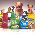 How to Tell If Your Dog Is Overweight