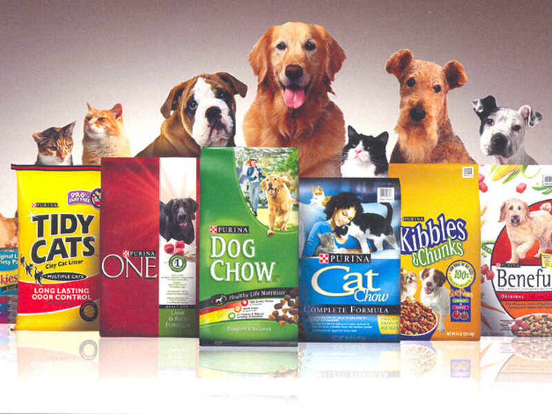 How to Tell If Your Dog Is Overweight How to Tell If Your Dog Is Overweight