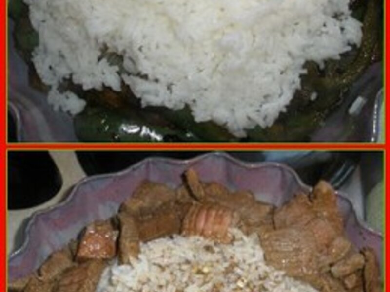 Human Foods Dogs Can and Cannot Eat
