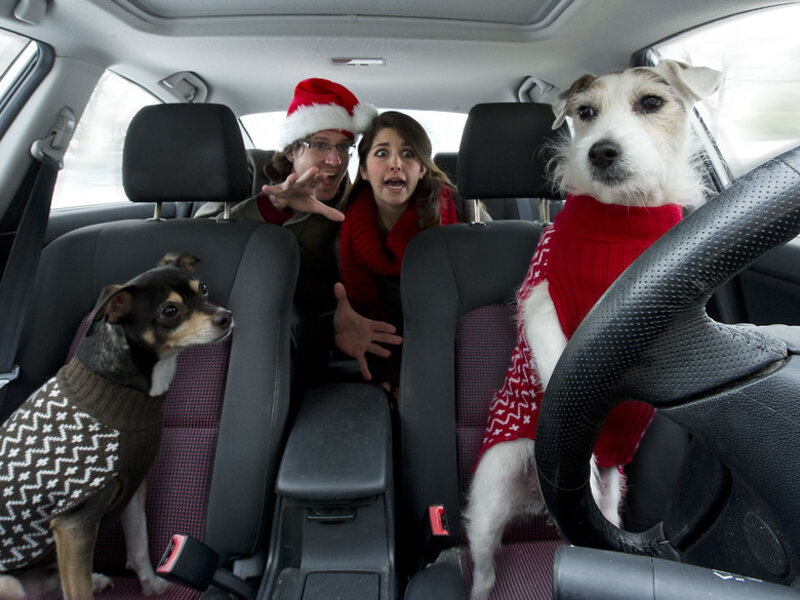 International Pet Travel: Documents and Requirements International Pet Travel: Documents and Requirements