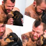 Introducing Your Puppy to Other Pets