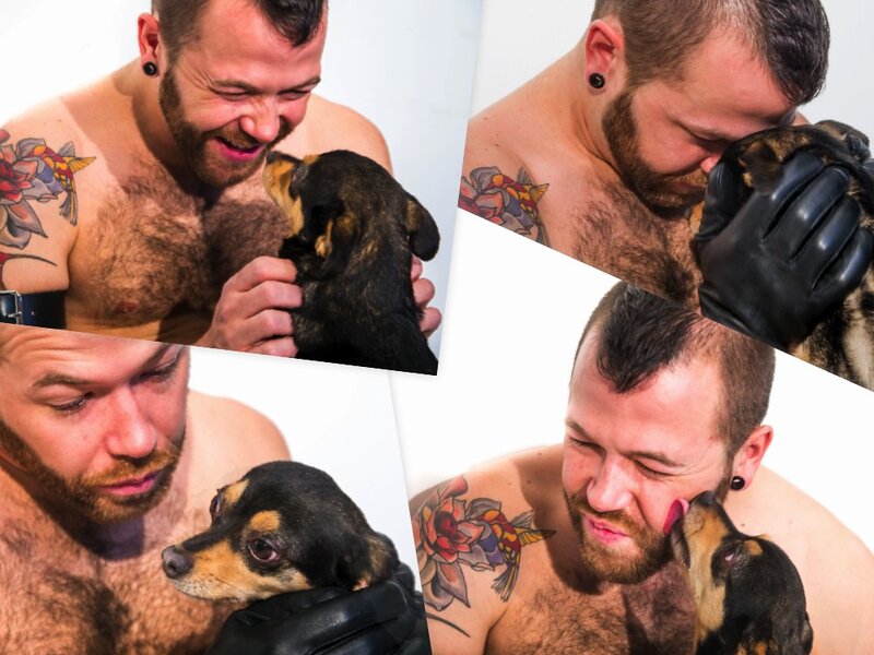 Introducing Your Puppy to Other Pets