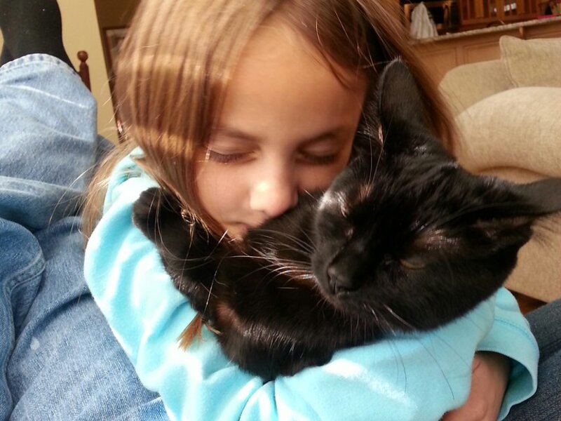 Leaving Your Pet Behind: When a Sitter Is the Better Choice