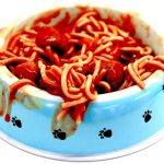 Pet Allergies: Seasonal and Food-Related