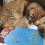 Pet-Friendly Vacation Rentals in Florida