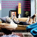 Pet Rat Care: Intelligent and Affectionate Companions