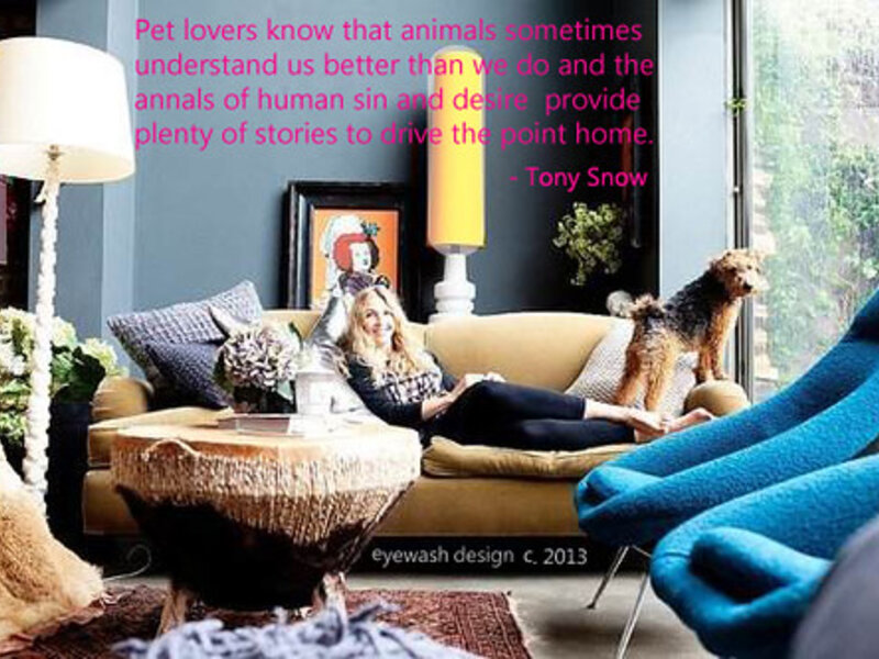 Pet Rat Care: Intelligent and Affectionate Companions Pet Rat Care: Intelligent and Affectionate Companions
