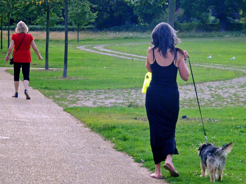 Pet Safety at the Dog Park: Rules and Red Flags