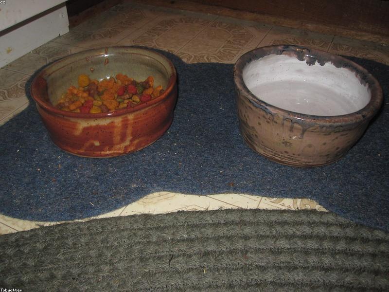 Understanding Pet Food Labels: What You Need to Know