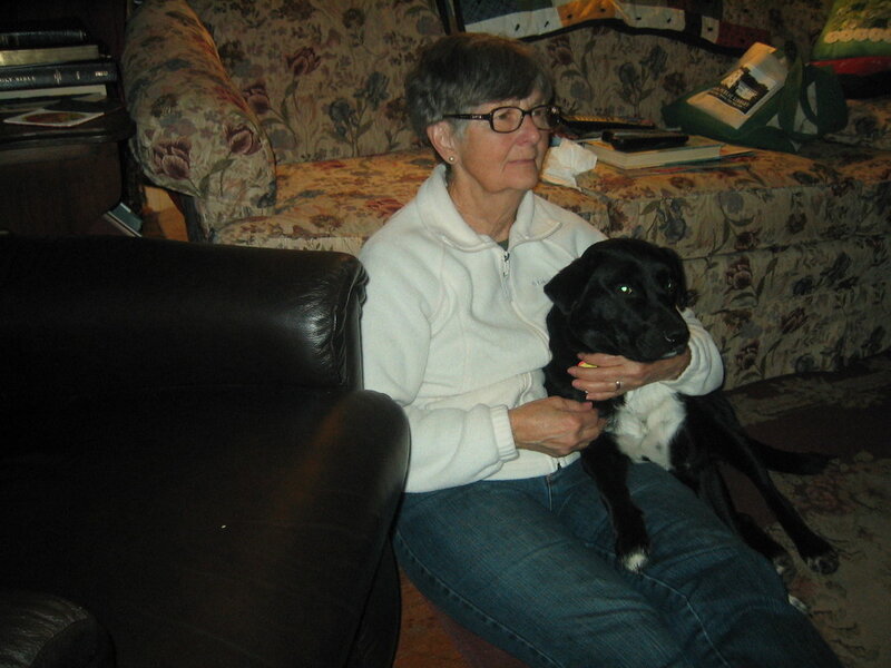 Weight Management for Dogs: Keeping a Healthy Size